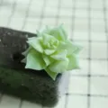 Planta suculenta flocada artificial accesorio de pared micropaisaje DIY decoración hogar verde - DR064