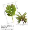 Pianta succulenta artificiale fiore finto materiale PE decorazione per la casa SKU - DR0101-1
