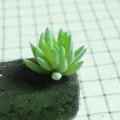 Artificial flocked succulent plant head DIY fake flower accessory for plant wall decor SKU - DR066
