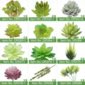 Plantas suculentas artificiales decoración de pared verde set de suculentas falsas hogar - TA24