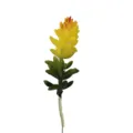 Stelo di succulenta artificiale pianta verde gialla fiore finto per decorazione casa - DR0282-1