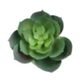Pianta succulenta finta verde pianta artificiale decorazione per casa giardino balcone - DR0300-3