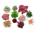 Set de plantas suculentas artificiales para decoracion de paredes DIY y adornos para el hogar. - TA16
