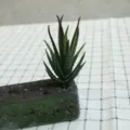 Artificial succulent plant flocked DIY floral accessory artificial flower head green - DR075