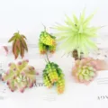 Conjunto de plantas suculentas artificiales plantas falsas DIY para decoración del hogar. - TA06
