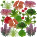 Conjunto de plantas suculentas artificiales plantas verdes falsas para decoracion - TA28-2