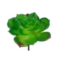 Testa di succulenta artificiale verde pianta finta per fai da te decorazione murale - DR005-1