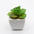 Mini artificial succulent in white ceramic pot, cute desktop plant decor for home and office - PA01-27 Style