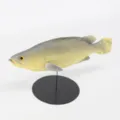 Modelo de pez de simulación PU acuario adorno juguete gato accesorios fotografía gris - Amarillo Gris (Y010)