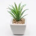 Mini artificial succulent potted plant with white ceramic pot and decorative stones for home decor - PA02-1 Style