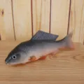 Realistic PU simulation fish model for aquarium decoration and photography props display. - Grey And Orange