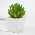 Mini artificial succulent plant potted in a clean white ceramic pot for home decor - PA01-1 Style