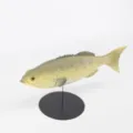 Modelo de pez de simulación PU decoración de acuario juguete fotografía soporte - Franja Moteada (Y012)