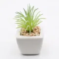 Mini artificial succulent plant in white ceramic pot, small decorative green desktop bonsai. - PA02-13 Style