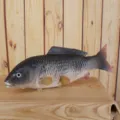 PU simulation fish model realistic marine animal toy photography prop home decoration - Grey Black