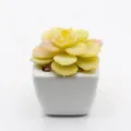 Mini artificial succulent potted plant in white ceramic pot for home decor and office desktop - PA02-16 Style