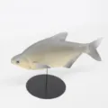 Modelo de pez de simulación realista PU acuario decoración juguete de gato accesorio - Gris Plateado (Y016)