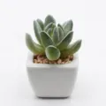 Mini artificial succulent in white ceramic pot, cute desktop green plant home decor. - PA02-7 Style