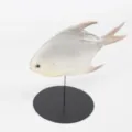 Modelo de pez de simulación decoración de acuario paisajismo juguete para mascotas accesorio - Plateado (Y017)