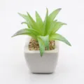 Mini artificial succulent plant in white ceramic pot, small faux green desk bonsai decoration. - PA02-18 Style