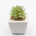 Mini artificial succulent plant in white ceramic pot with decorative stones for home decor - PA02-4 Style