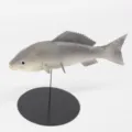 Modelo de pez simulado decoración de acuario juguete de mascota fotografía soporte - Gris (Y015-2)