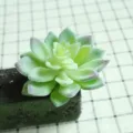 Artificial flocked succulent plant head, realistic green fake flower for DIY decor. - DR073