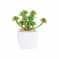 Kleine witte vierkante kunstmatige vetplant in pot als bureaudecoratie en fotorekwisiet. - Kleine vierkante pot + Geklokte 11-hoofdige cactus