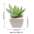 Mini witte vierkante kunstmatige vetplant in pot voor bureau decoratie foto prop. - Kleine vierkante pot + Geklokte stekelige aloë