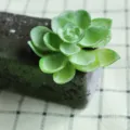 Artificial flocked succulent plant green faux succulent head DIY wall decor botanical set - DR024-1