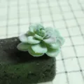 Artificial flocked succulent plant DIY plant wall accessory fake flower head for home decor - DR031-1