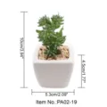 Mini witte vierkante kunstmatige vetplant in keramische pot, decoratieve plant variante. - Kleine vierkante pot + Geklokte groene kruiptijm