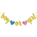 Banner glitter ragazzo o ragazza per decorazione festa baby shower sfondo forniture. - Stile boy or girl
