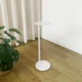 Nordic minimalist white iron plant stand, modern indoor floor flower pot holder for living room. - Side Rod Circle / 20x20x58cm / White