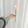 Gros plan détaillé d'une fleur de lys calla artificielle unique, fleur rose et blanche avec tige verte. - Rose