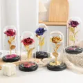 Gouden folie roos in glazen stolp met LED licht, mooie tafeldecoratie en romantisch cadeau. - Goudfolie Bal Roos-Rood