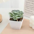 Artificial succulent plant potted miniature square pot indoor home balcony decor detail view - Flocked Style 10