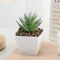 Artificial flocked succulent potted plant in white square pot with decorative stones for home decor. - Flocked Style 6