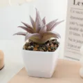 Close-up detail of artificial flocking succulent plant in mini white square pot for home decor. - Flocked Style 3