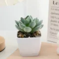 Artificial succulent plant in white square pot indoor home decor miniature desk bonsai detail view. - Flocked Style 1