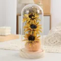 Girasole preservato cupola di vetro luce LED romantica decorazione da tavola regalo - Paralume Fiore di Sesamo - Oro