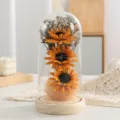 Cupola in vetro di girasole preservato con luci LED, regalo luminoso creativo fatto a mano - Paralume Fiore di Sesamo - Arancione