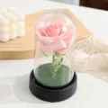Rosa artificiale rosa cupola luminosa regalo variante con base nera decorazione - Paralume Perla Piccola - Rosa