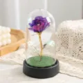 Rosa in foglia d oro LED sotto cupola di vetro fiore eterno regalo romantico decoro - Piccola Rosa Iridescente - Viola