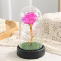 Rosa in lamina d'oro galassia sotto cupola di vetro con luci LED, regalo romantico e decorazione. - Piccola Rosa Iridescente - Rosa