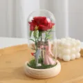 Rosa stabilizzata sotto cupola LED regalo romantico statuetta coppia per decorazione. - Coppia Perla