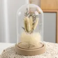 Fiori secchi conservati in cupola di vetro con lucine e base in legno come decorazione. - Paralume Statice