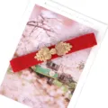 Roter elastischer Taillengürtel mit goldener Schnalle, stilvolles Kleideraccessoire. - Rot