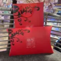 Borsa regalo in carta rossa e scatola a cuscino per sciarpe, design elegante per la vendita. - Set di 2 Pezzi Sciarpa Rossa