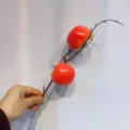 Décoration de branche de pomme de grenade artificielle pour la maison et le nouvel an. - Petit Kaki Rouge à Deux Têtes